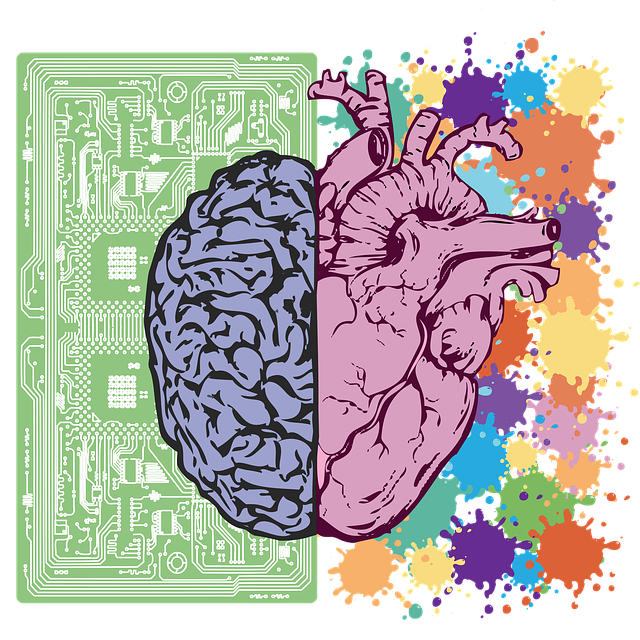 En halv hjärna på en bakgrund av en tavla och ett halvt hjärta på en färgglad bakgrund.